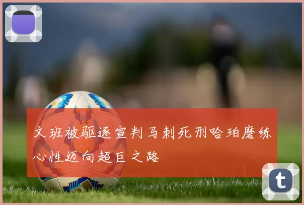文班被驱逐宣判马刺死刑哈珀磨练心性迈向超巨之路