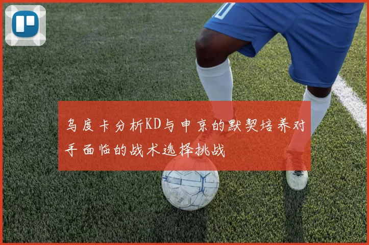乌度卡分析KD与申京的默契培养对手面临的战术选择挑战
