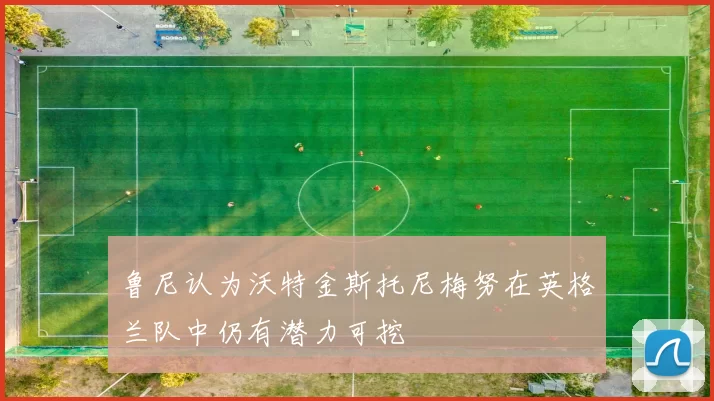 鲁尼认为沃特金斯托尼梅努在英格兰队中仍有潜力可挖