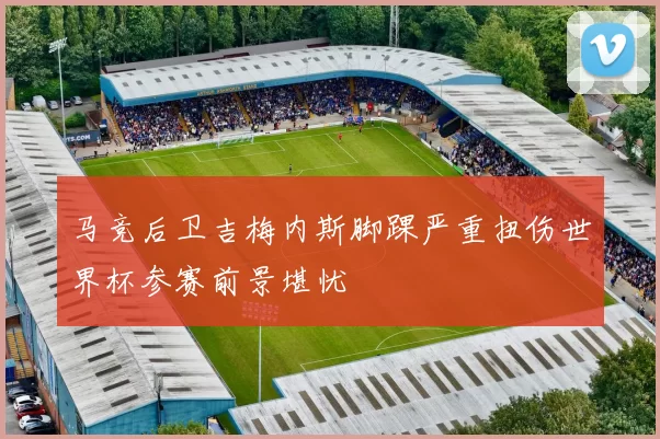 马竞后卫吉梅内斯脚踝严重扭伤世界杯参赛前景堪忧